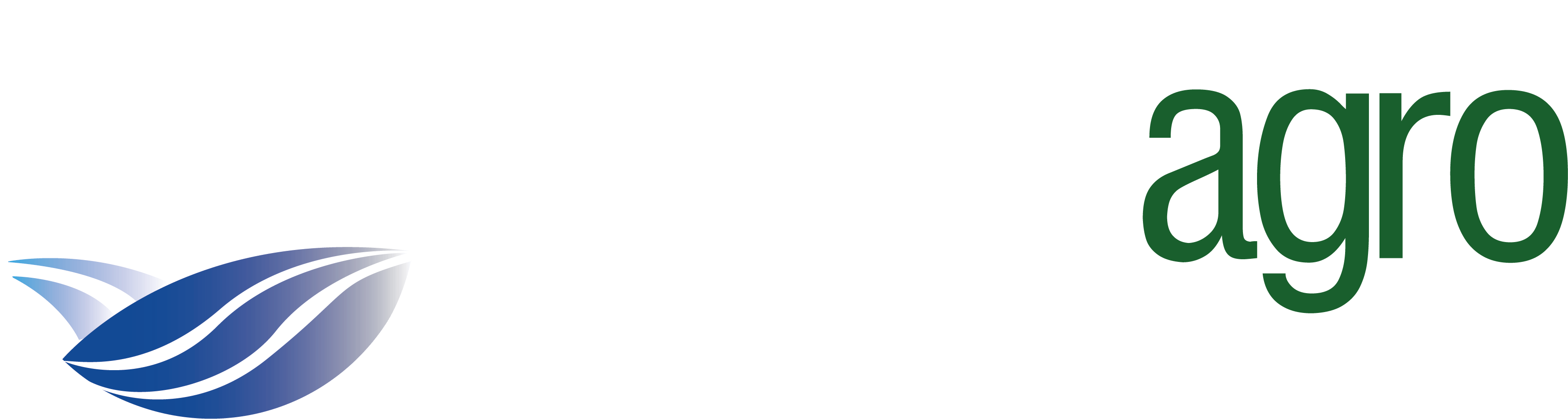Logo NTW Agro